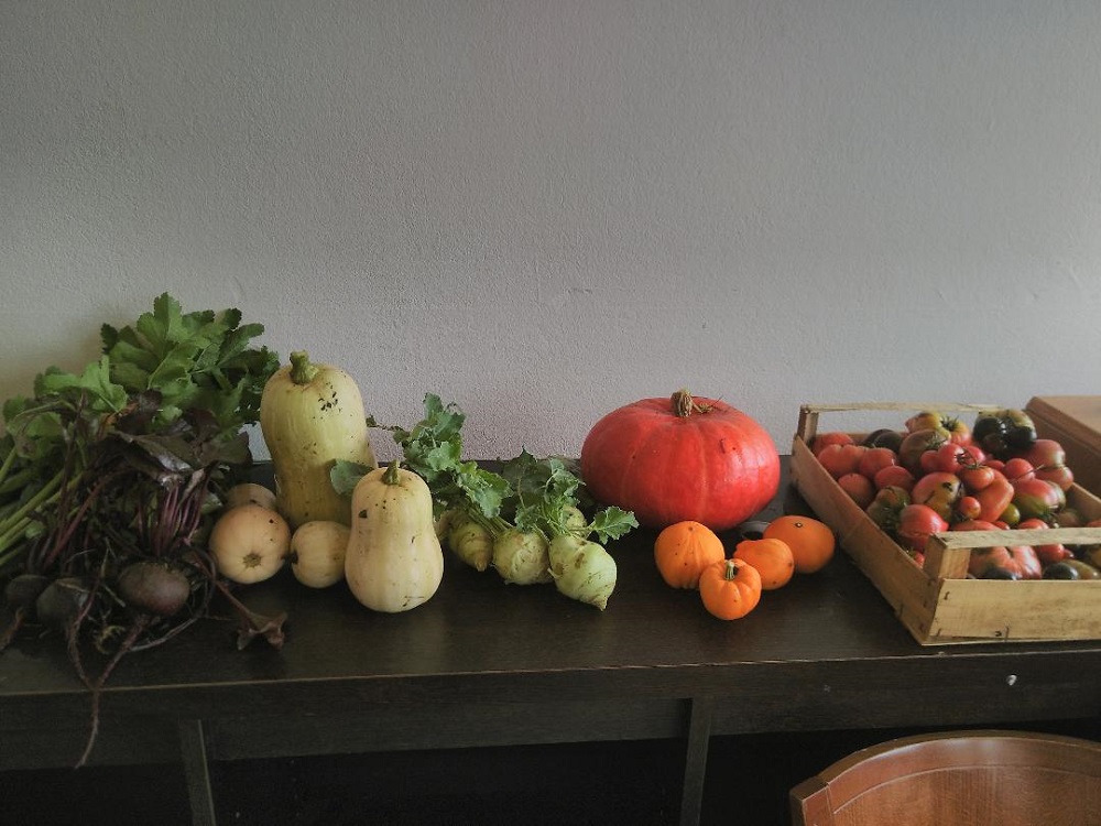 Légumes du jardin